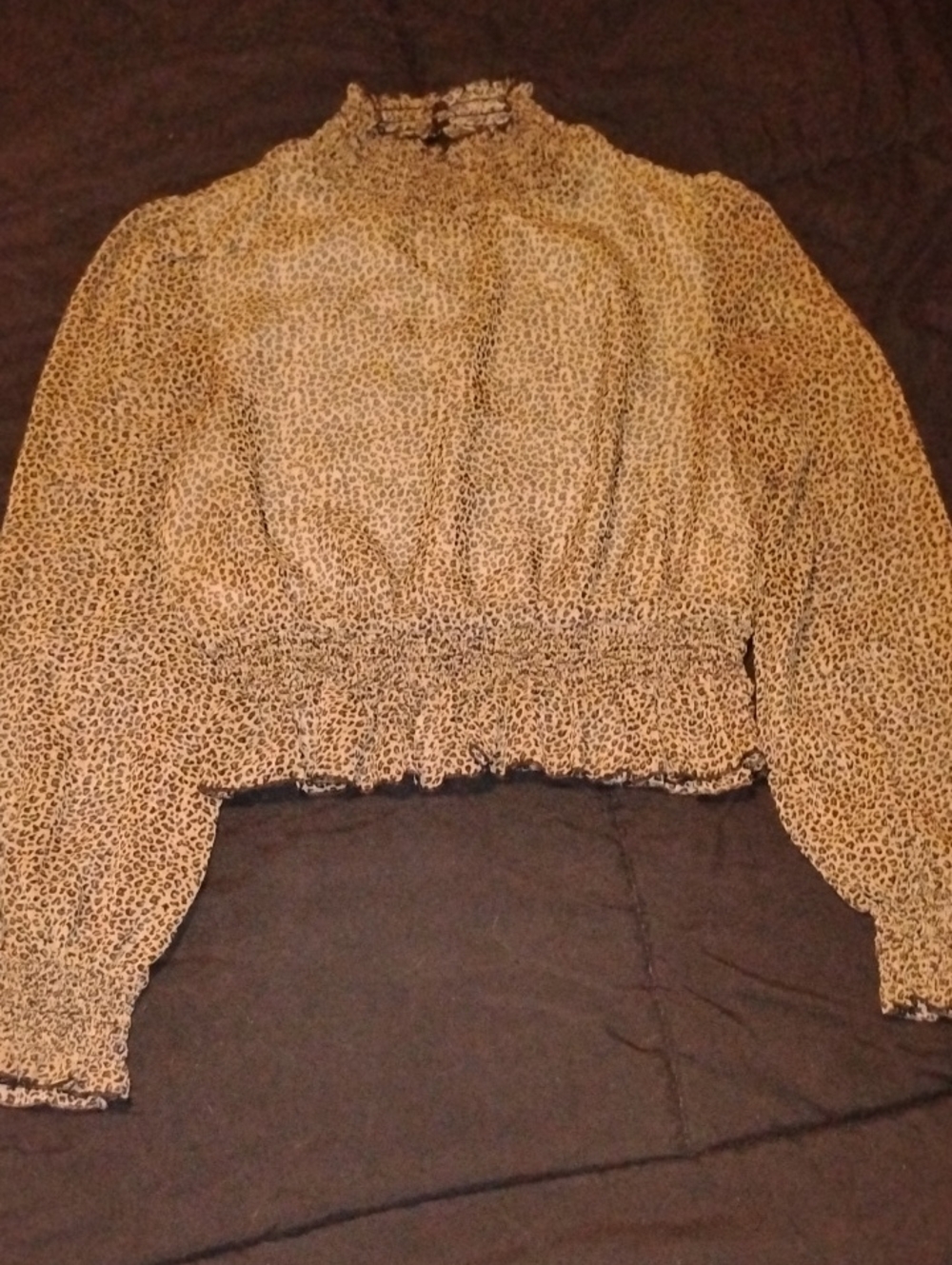 Lucy Paris Black and Tan Leopard Print Blouse